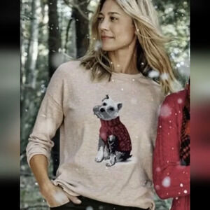 J.Jill Sz. M Crew Neck Weston The Dog Pullover Sweater Beige Heathered Knit Top